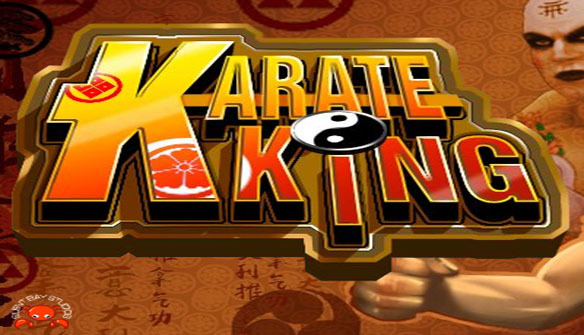 Giochi di karate gratis
