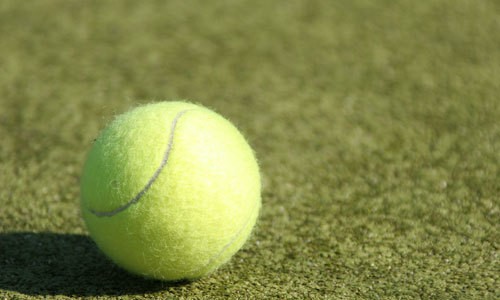 tennis managaer tennis managaer