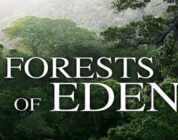 Forests of Eden: gioca e salva le foreste di tutto il mondo