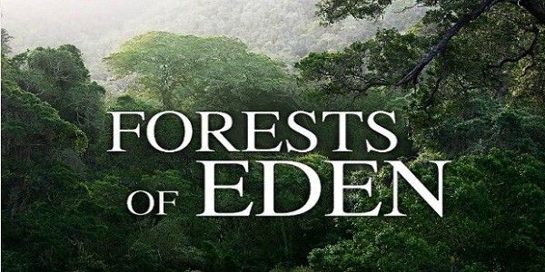 Forests of Eden: gioca e salva le foreste di tutto il mondo