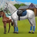 Howrse: alleva il tuo pony virtuale!