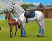 Howrse: alleva il tuo pony virtuale!