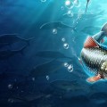 Gone Fishing: gioco di pesca su Facebook e dispositivi mobili