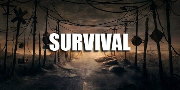 Survival: gioco online di sopravvivenza